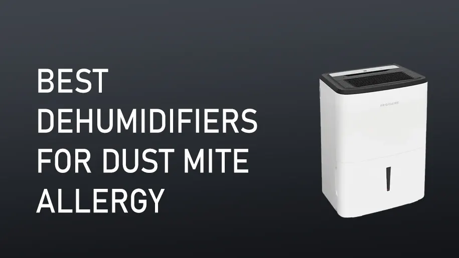 Best Dehumidifier for Dust Mite Allergy
