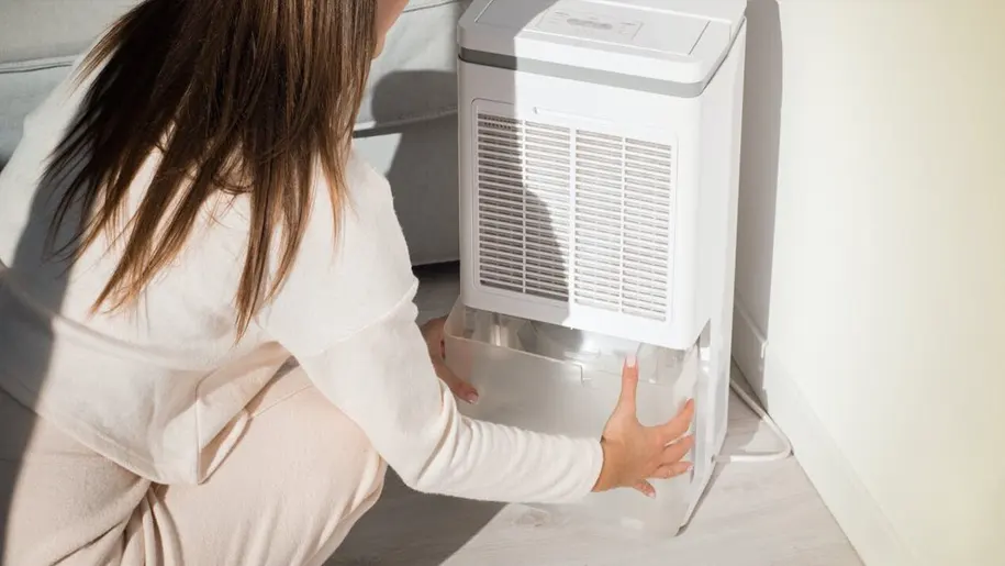 what-is-dehumidifier